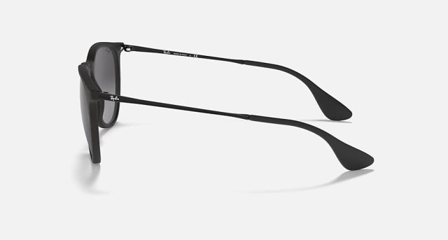 Ray-Ban - ERIKA PRETO METAL